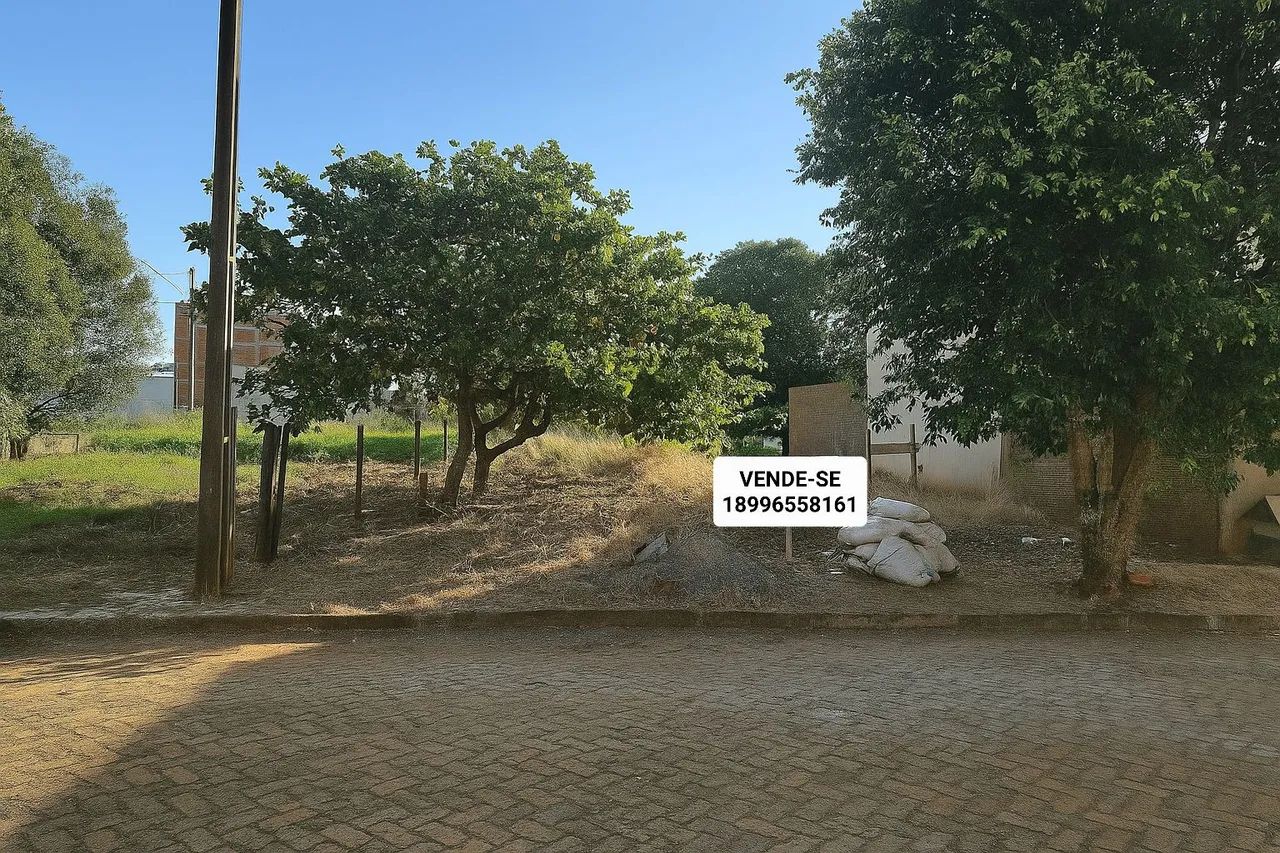 Foto - Presidente Venceslau - 