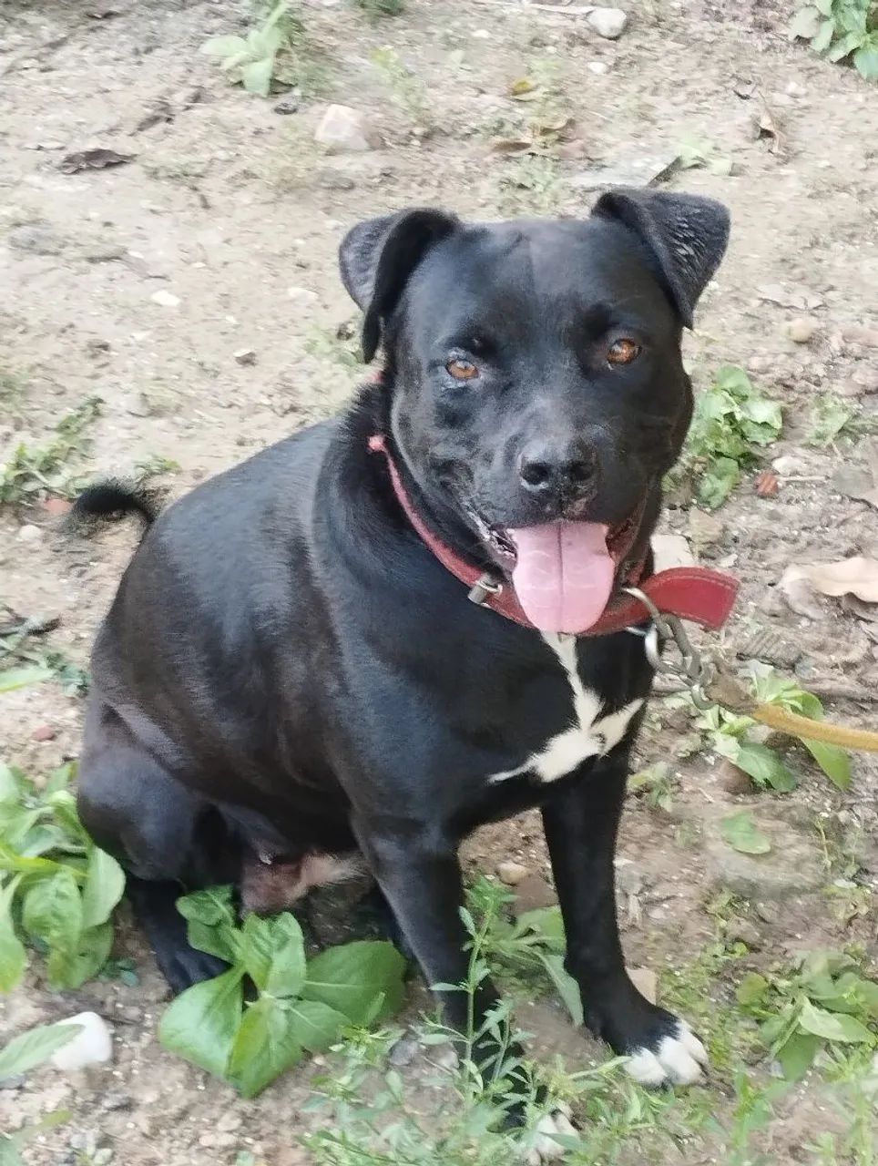 Doação - Foto 5