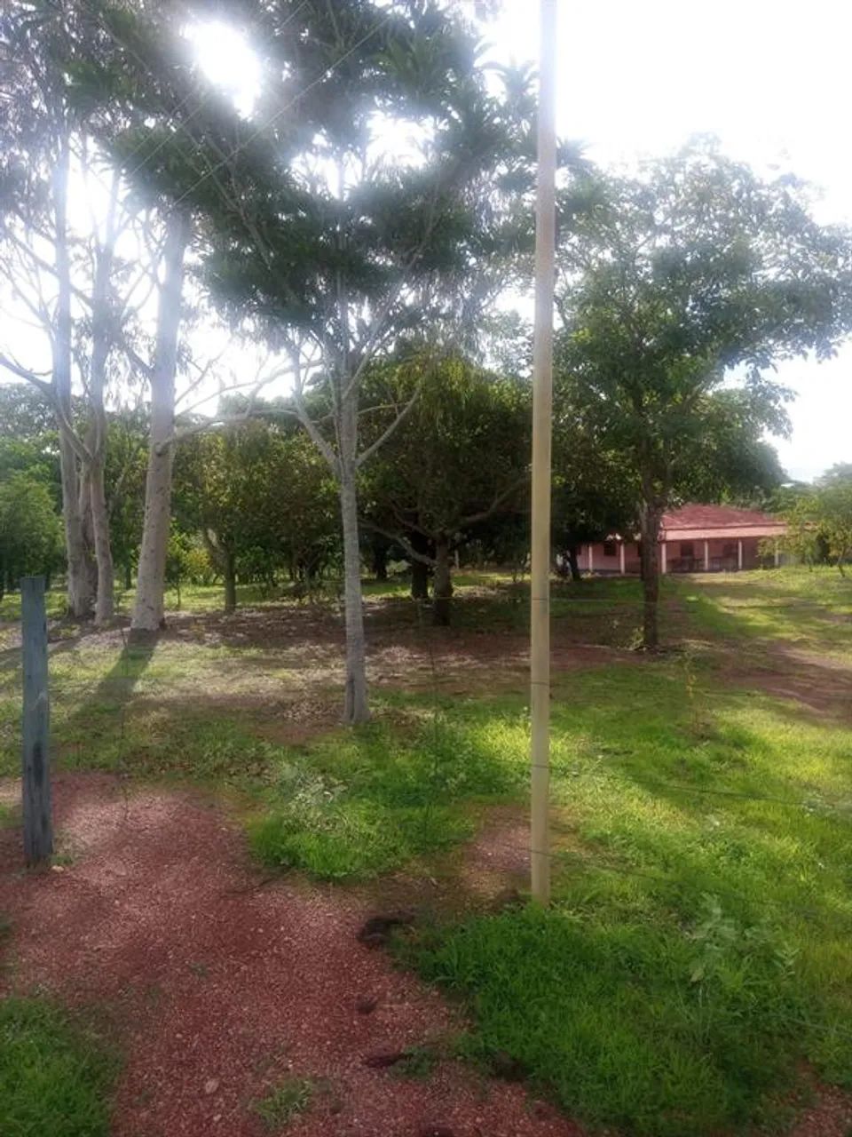Fazenda - Chácara 4 quartos - Foto 5