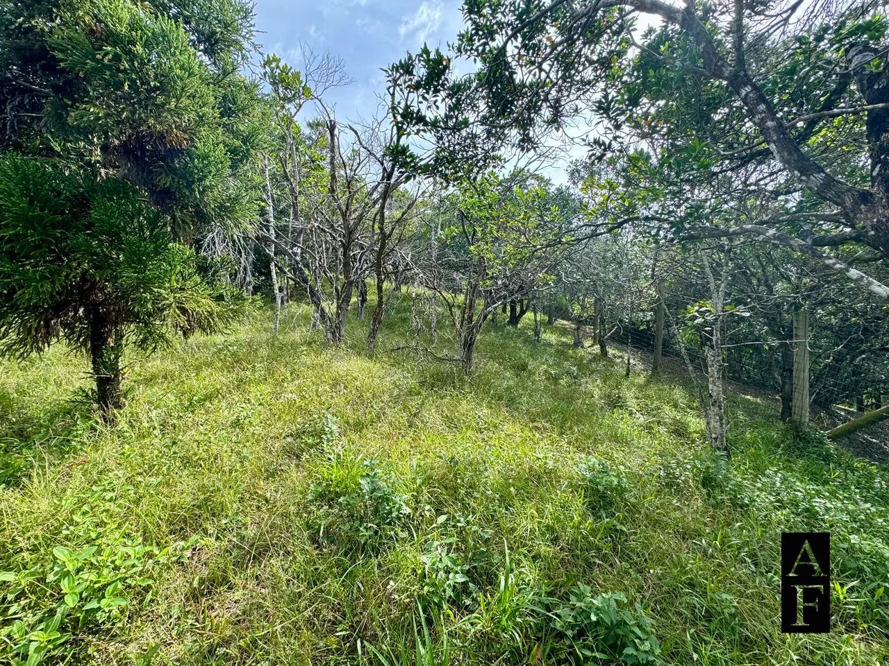 Terreno em Garopaba no Morro da Silveira - Foto 4