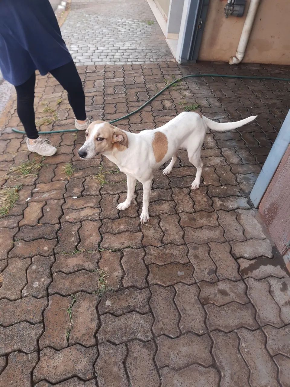 DOAÇÃO 
