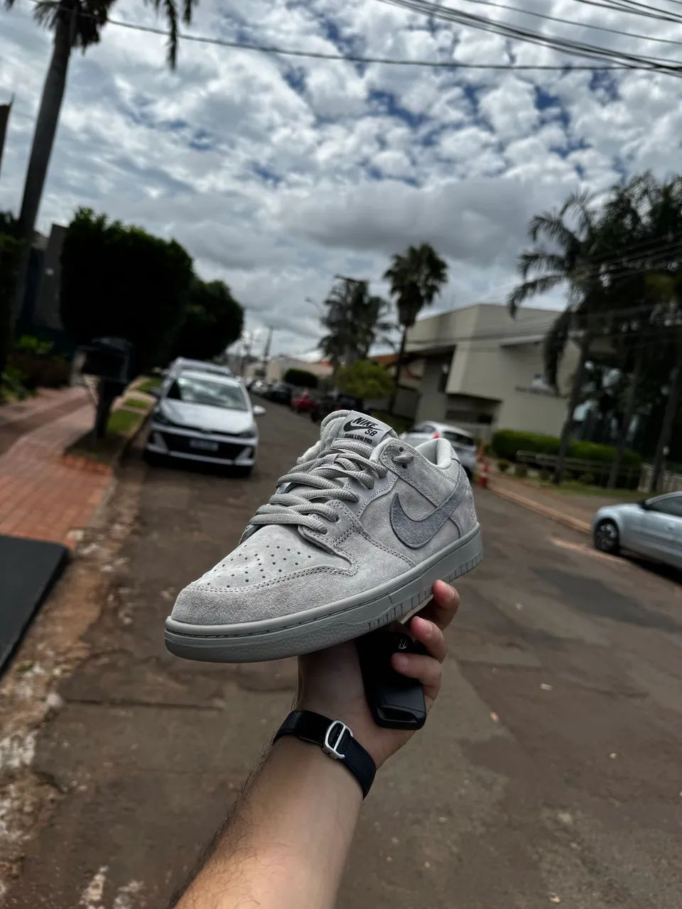 Nike dunk low pro