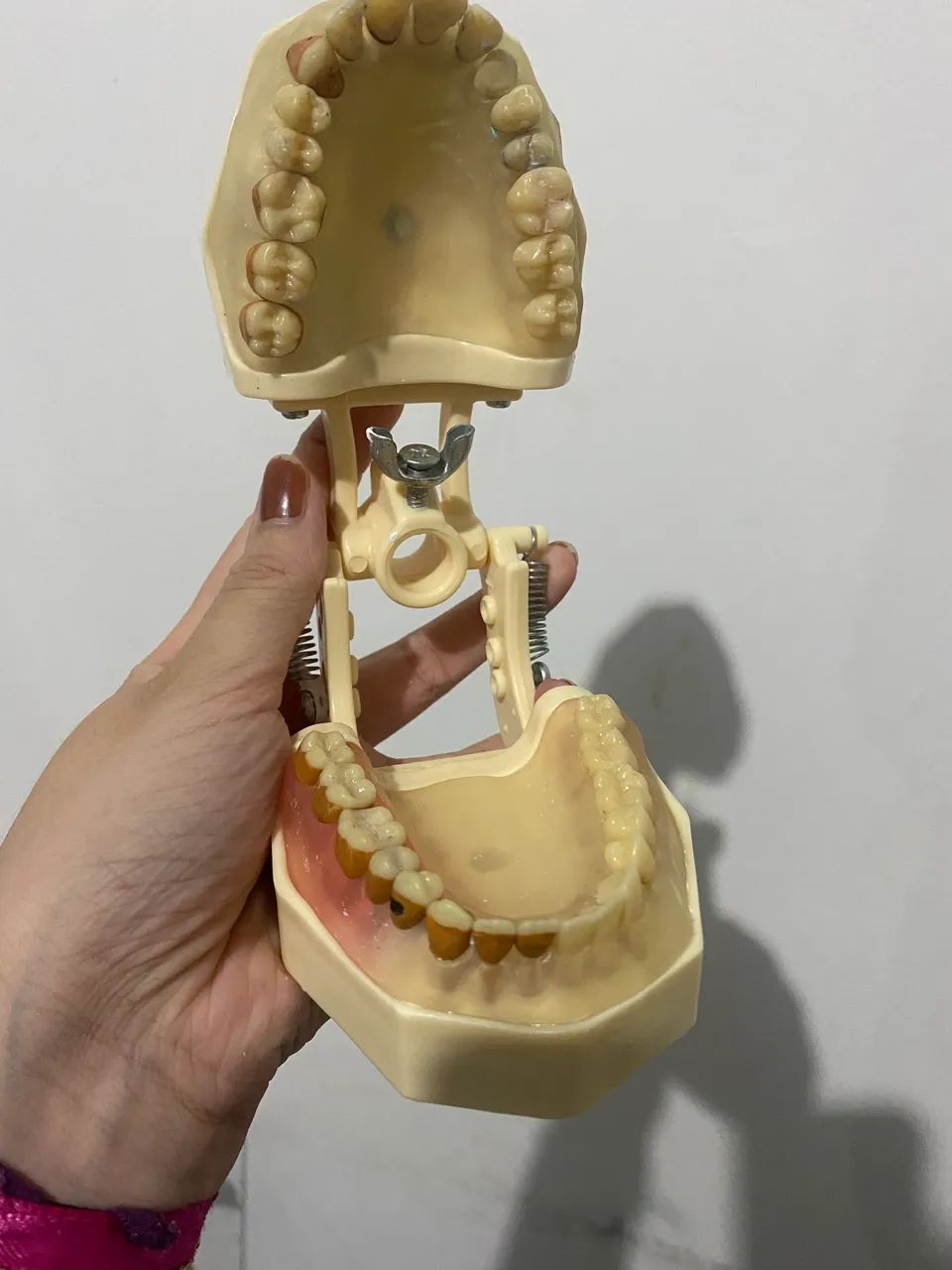Manequim Dentistica e Periodontia- Orais  - Foto 4