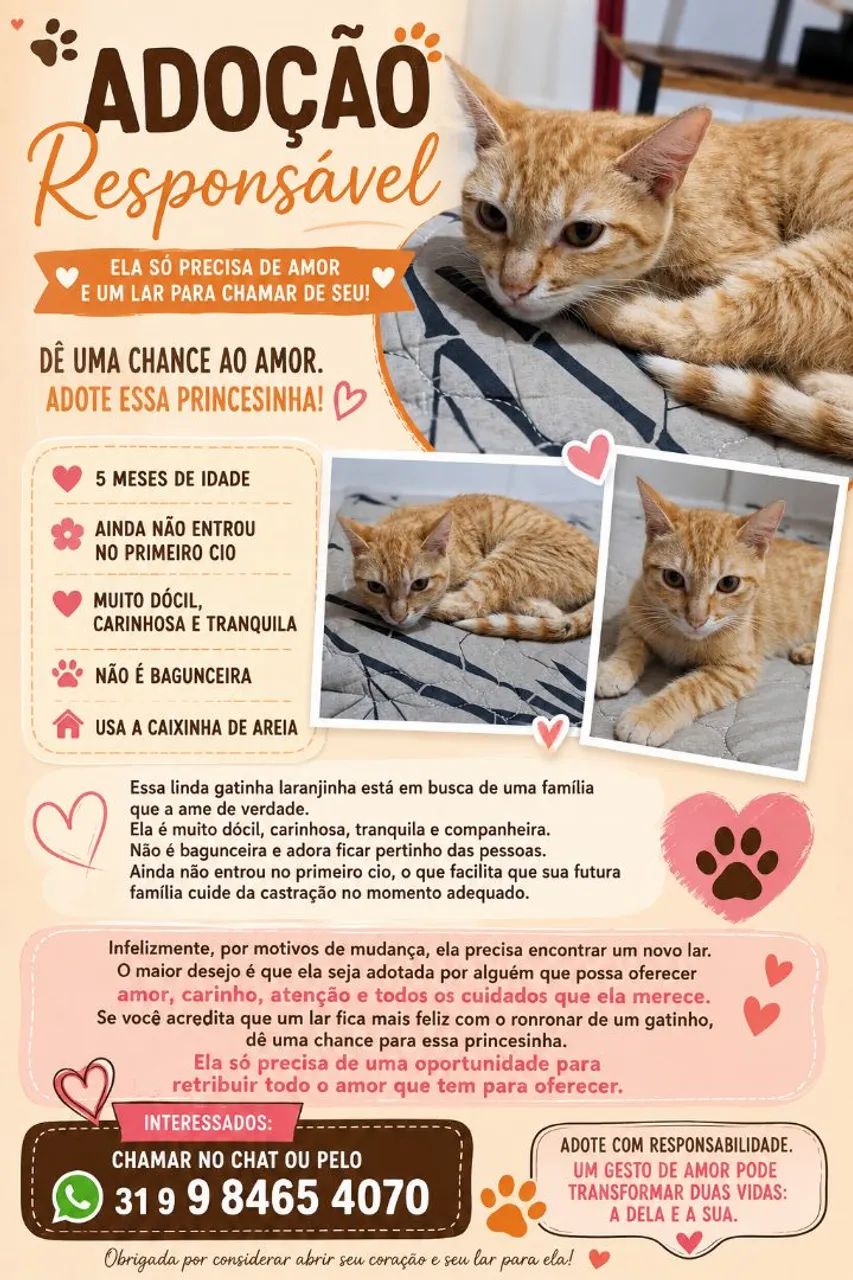 Adoção Responsável !!
