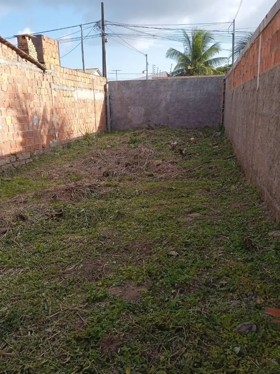 TERRENO NA CAUEIRA - Foto 3
