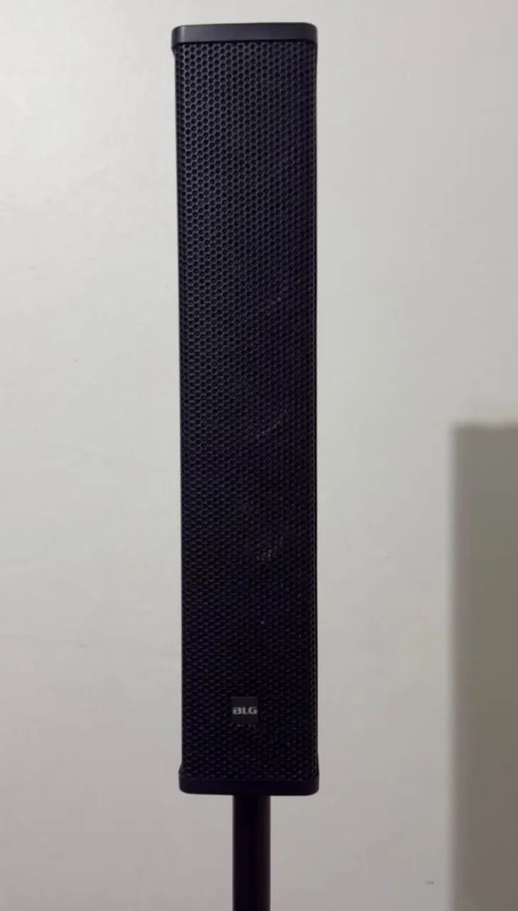 Caixa de som profissional 