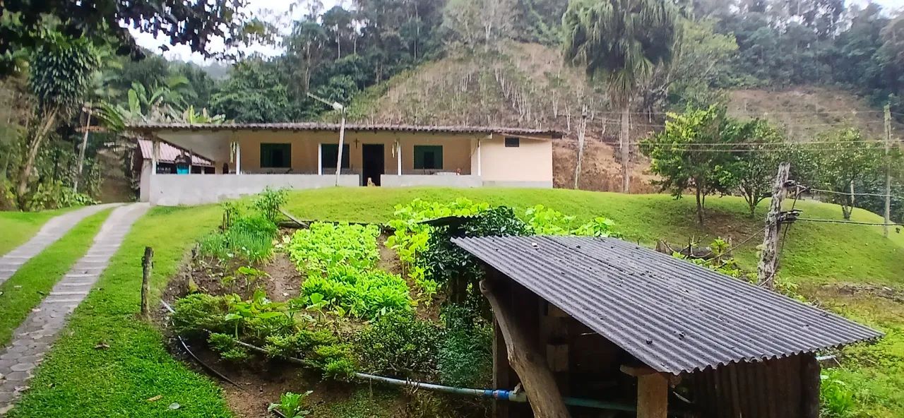 Sítio são Bento uraina 2 Alqueires  - Foto 4