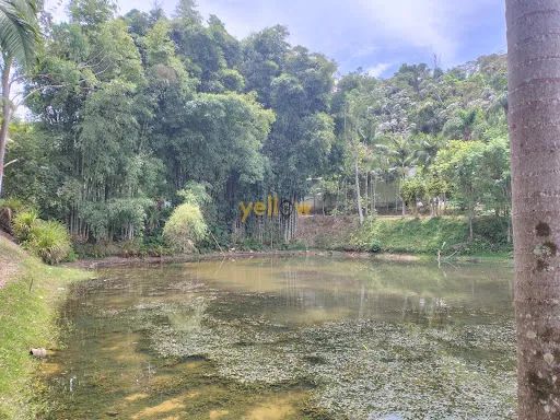 Rural Chácara em Mogi das Cruzes - Foto 3
