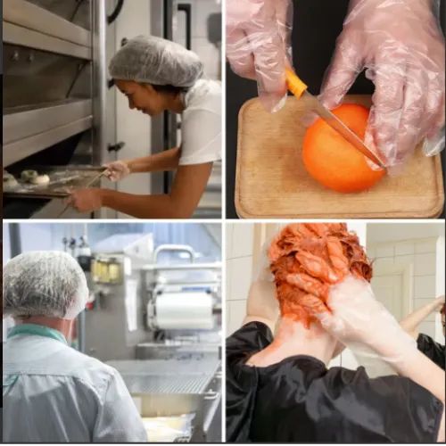 Kit Luva E Touca Plástica Cabelo Salão Estética Cozinha - Foto 4
