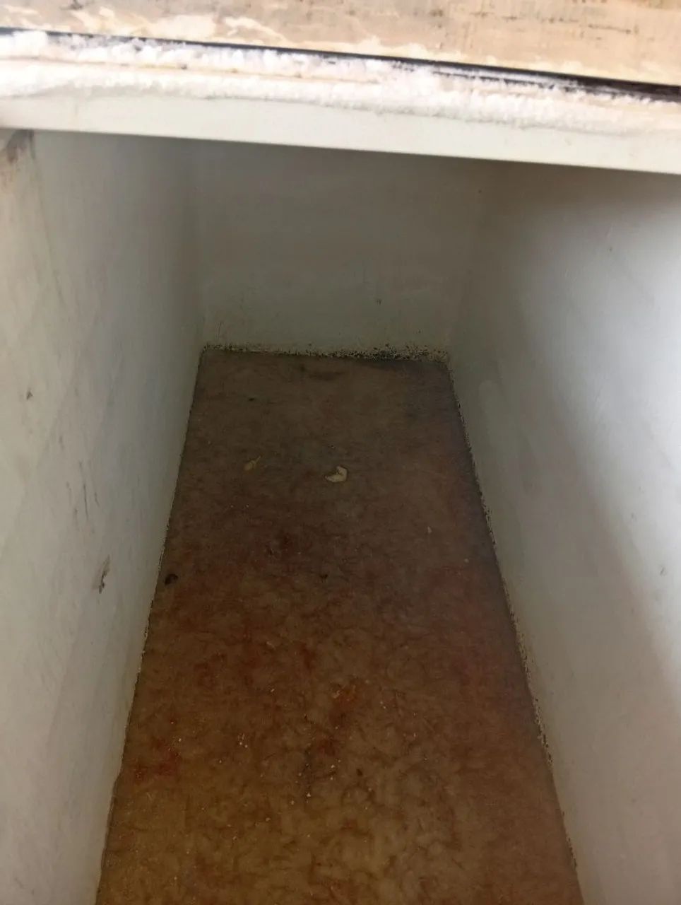 Freezer  - Foto 3