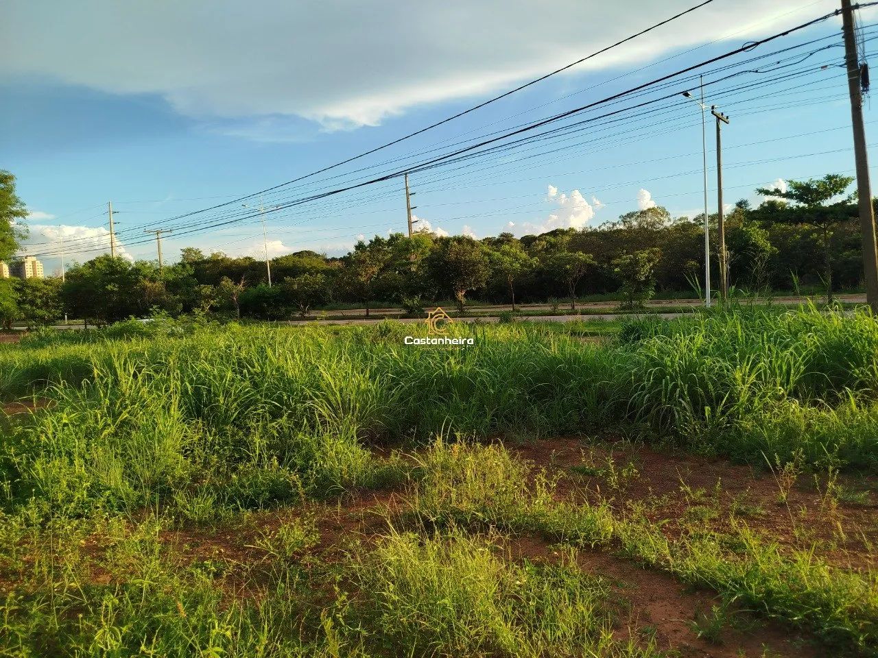 Lote Comercial - 144 m² - Plano Diretor Norte - Foto 5