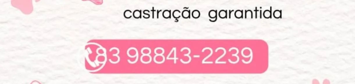 Cachorro para adoção responsável  - Foto 2