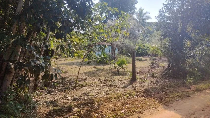  MARAU Ba VENDE-SE 85 MIL m² - Foto 2