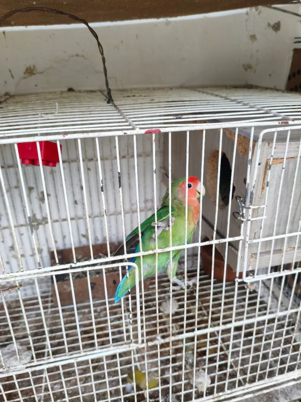 Poleiros  - Foto 4