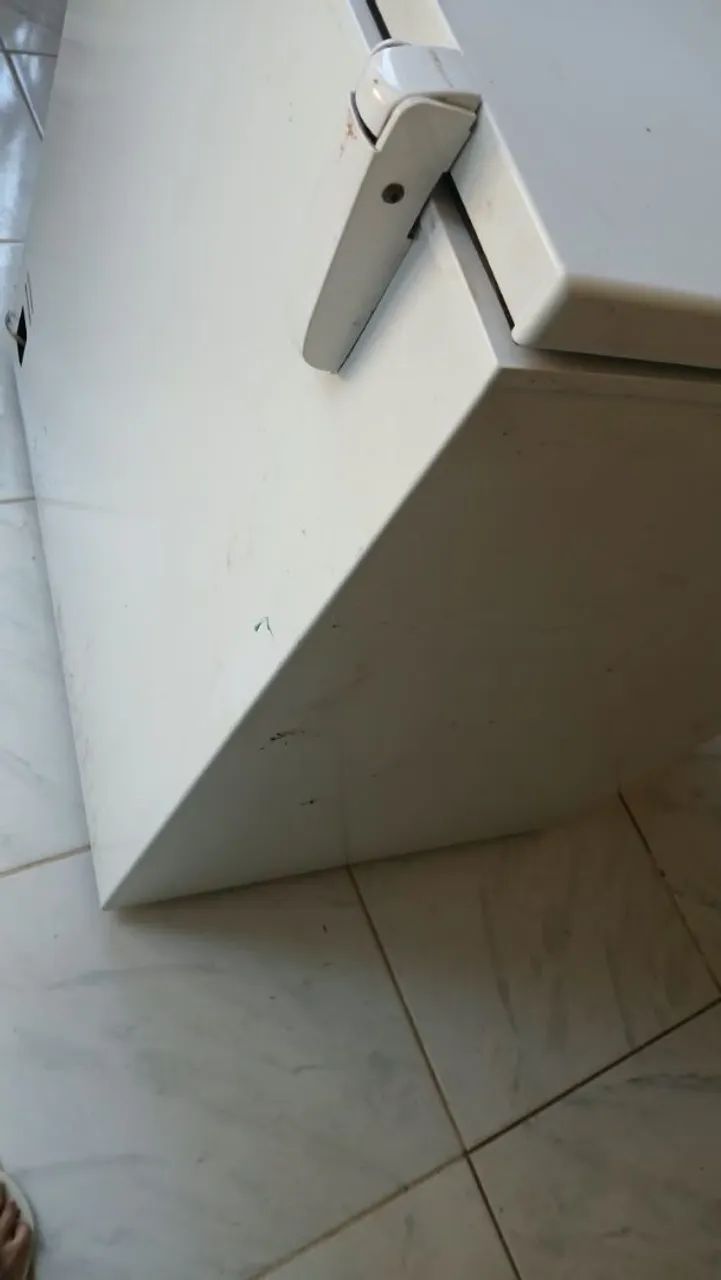 Freezer Electrolux  - Foto 3