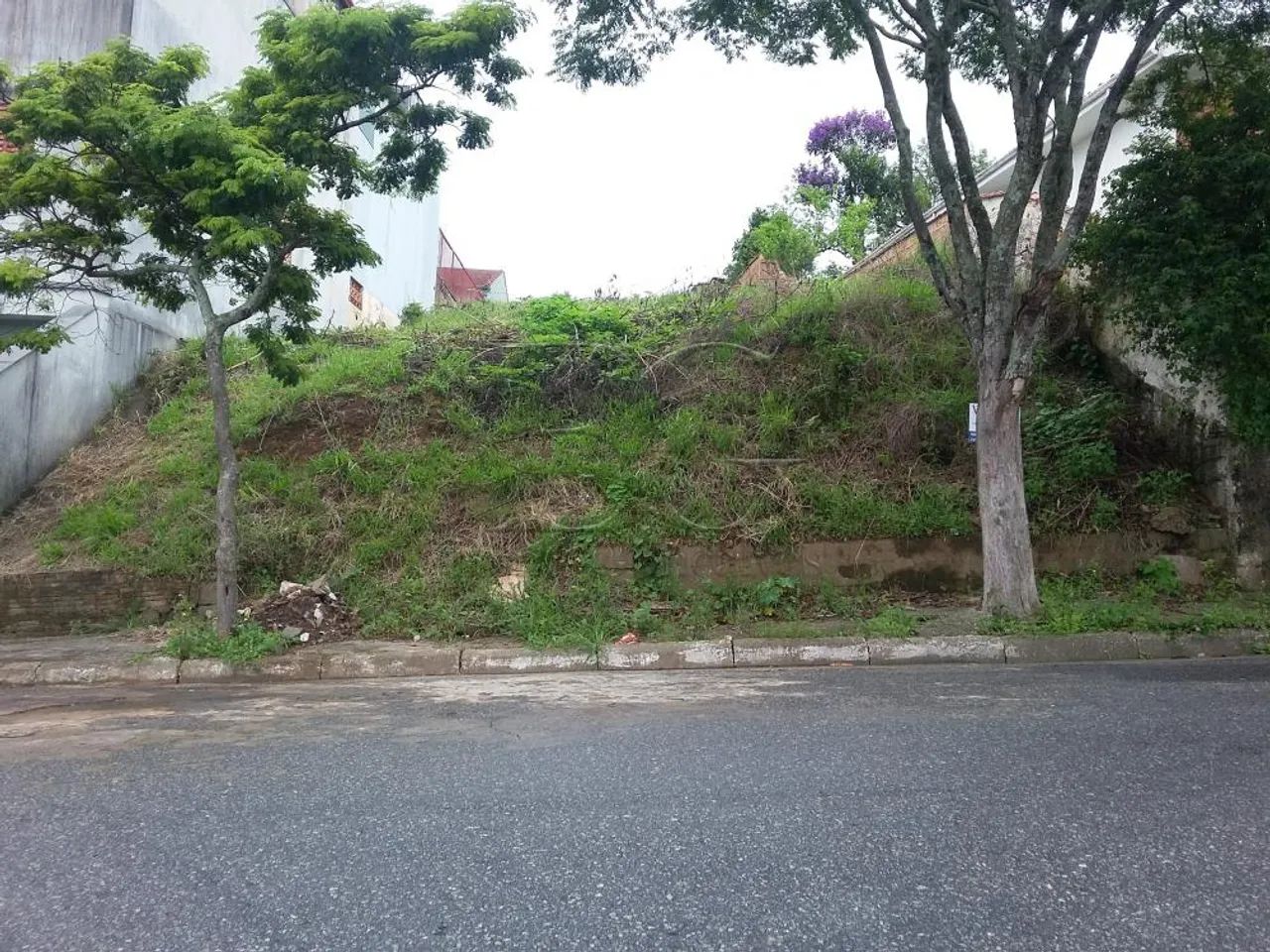 Terrenos Padrão em Poços de Caldas - Foto 2