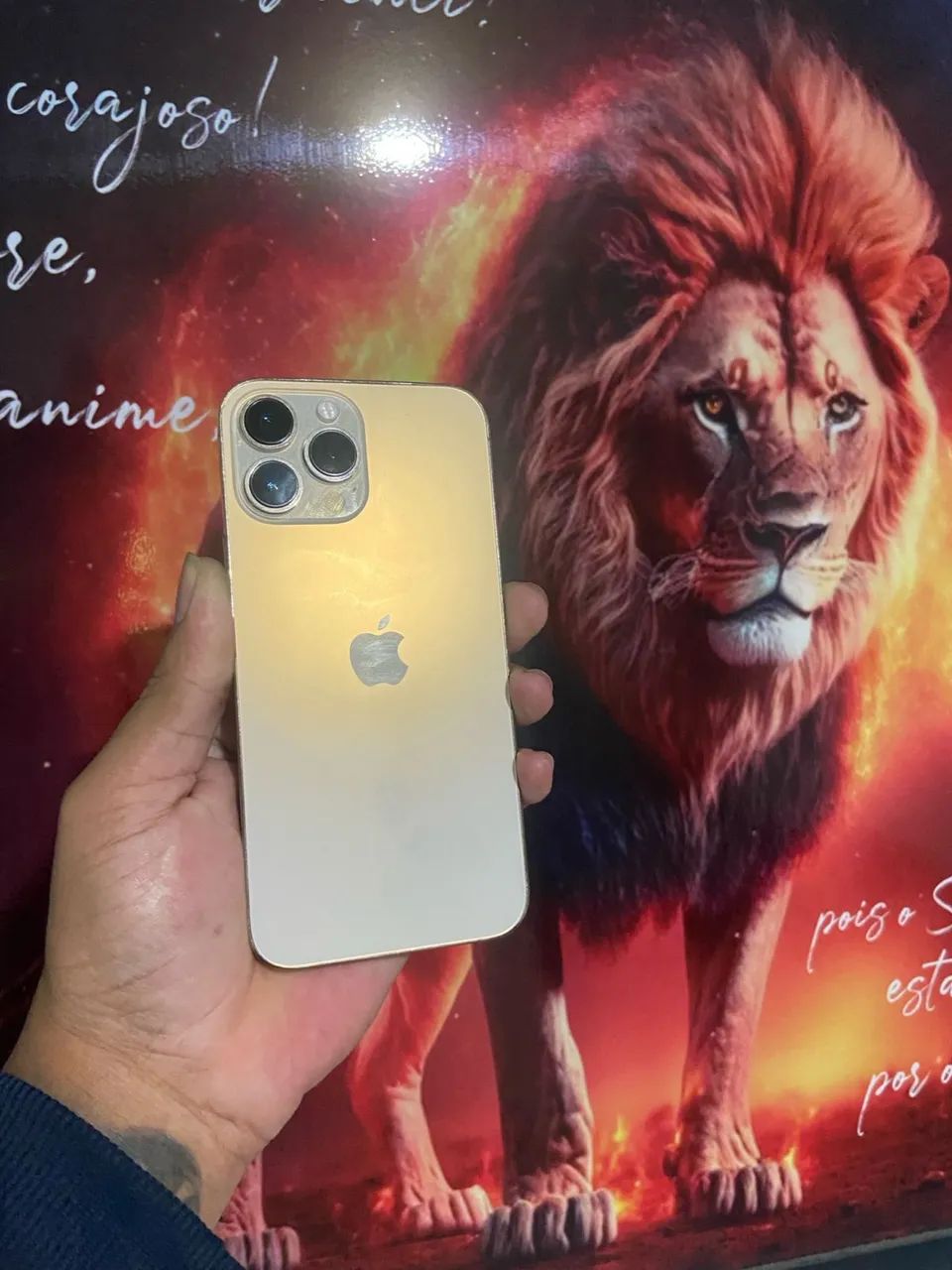 iPhone 13 Pro Max  - Foto 2