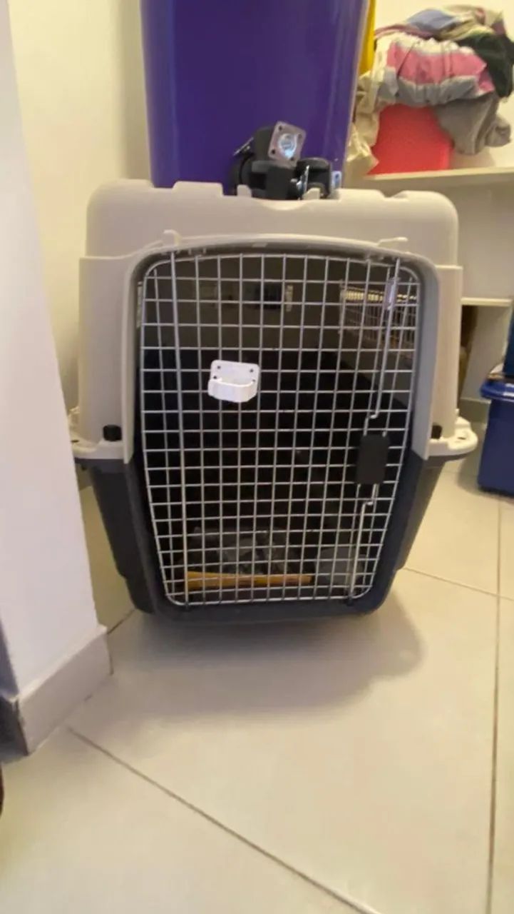 Itens e acessórios para PetShop  - Foto 3