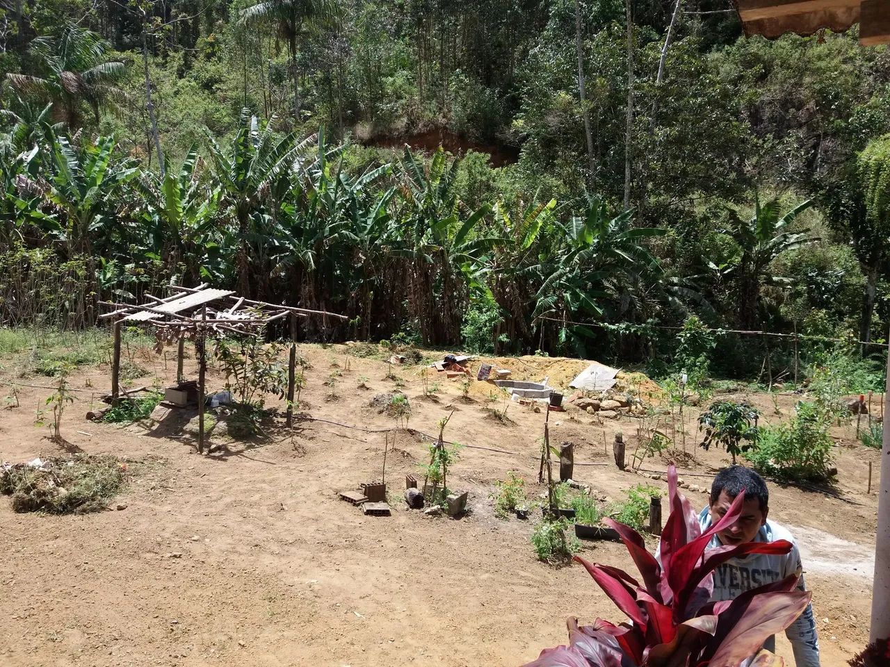 Lindo Sítio  - Foto 5