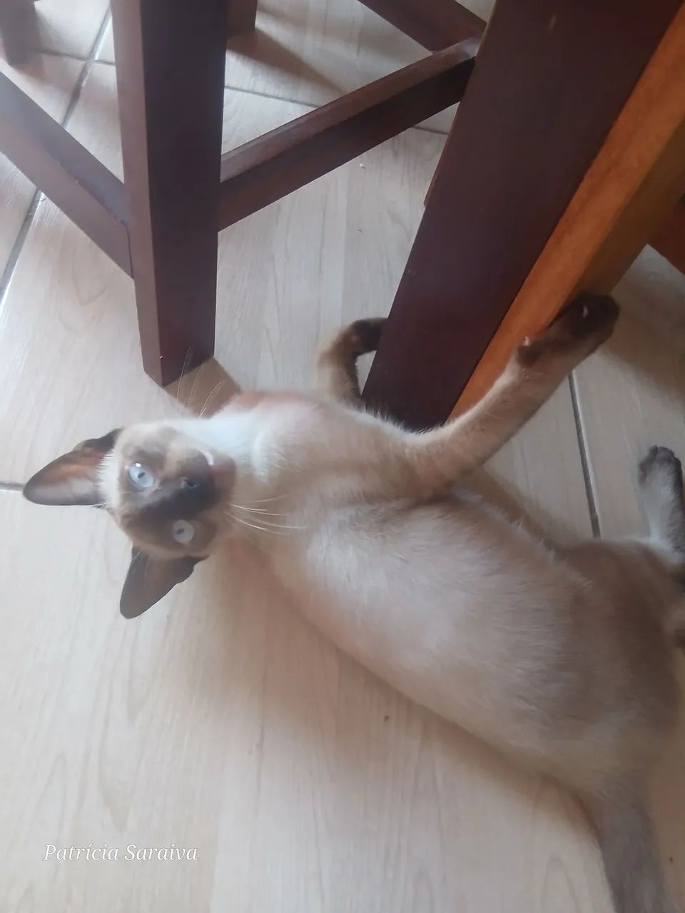 Doação  - Foto 3