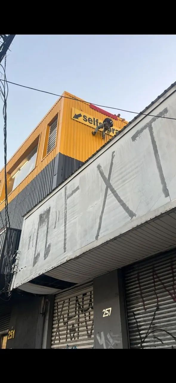 Podas e corte de arvores ou palmeiras  - Foto 2