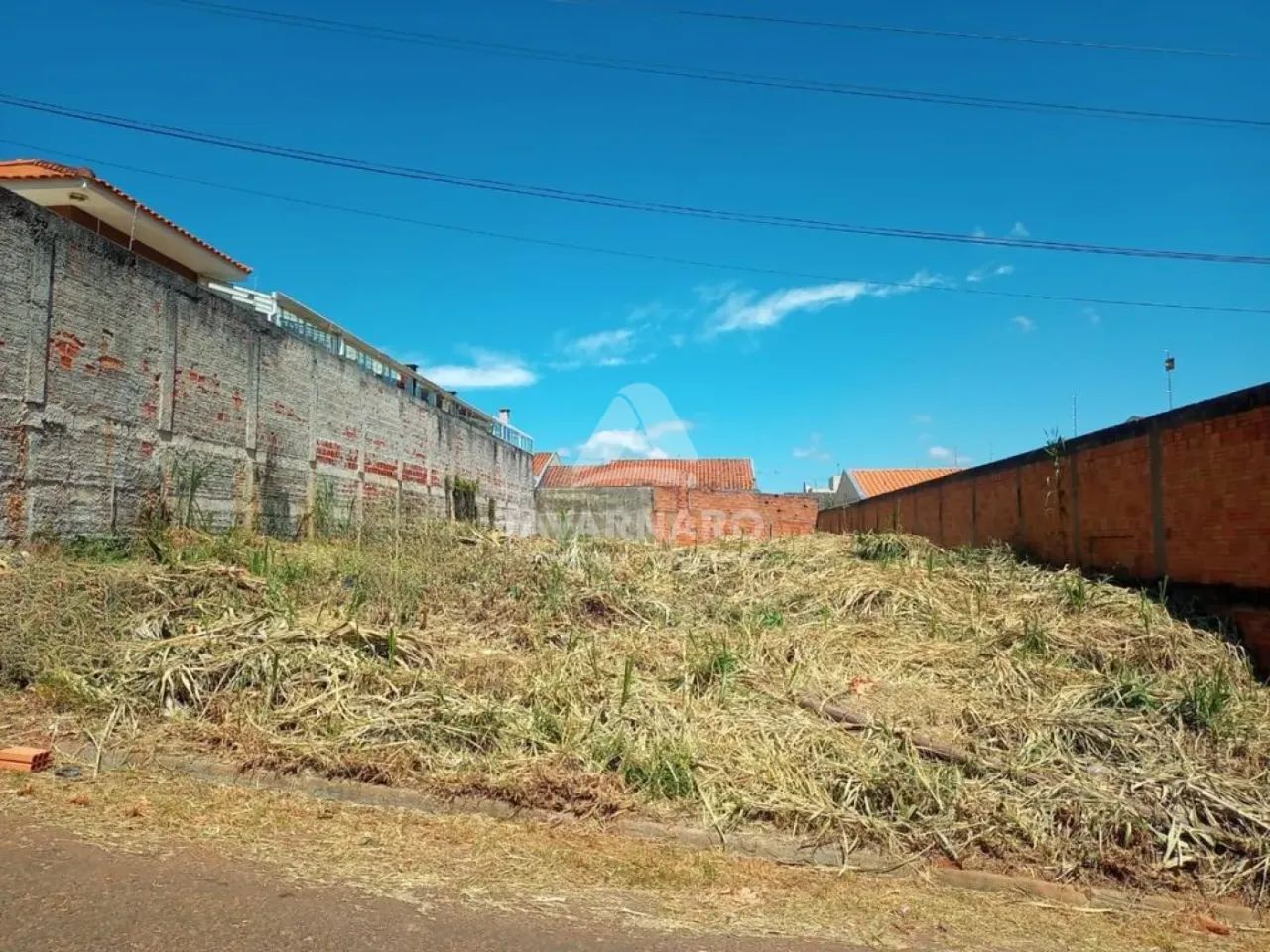 lote de terreno Vila Estrela - Foto 3