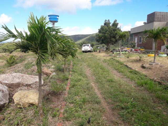 Sitio Limoeiro - Foto 9