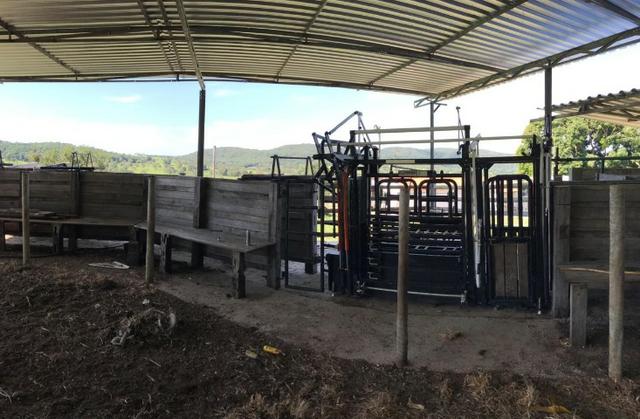 Fazenda 25 Alqueires ( 121 hectares )-Varjão-GO porteira fechada - Foto 19