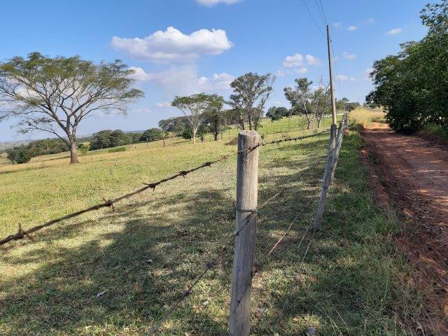Sítio de 21 Alqueires-Proximo a Luzitânia - Foto 2
