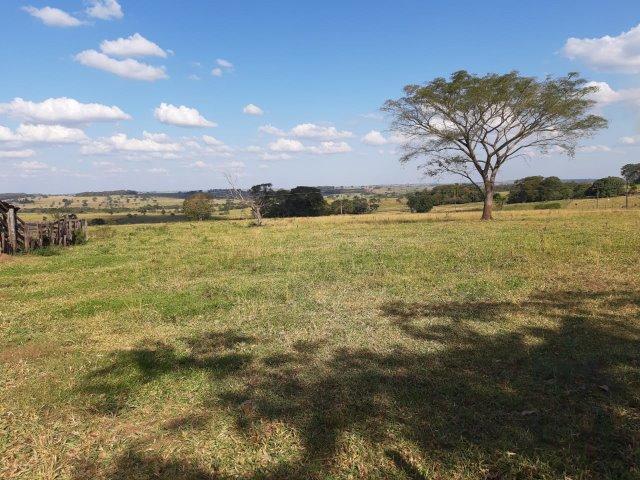 Sítio de 21 Alqueires-Proximo a Luzitânia - Foto 3