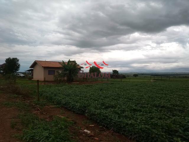 8051 | Sítio à venda em NÃO INFORMADO, ÂNGULO - Foto 9