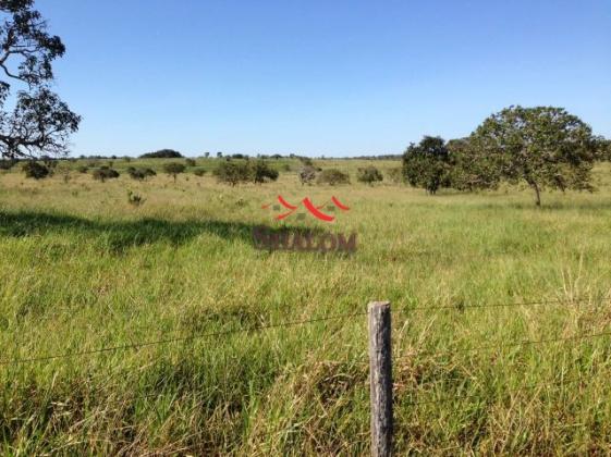 8051 | fazenda à venda em não informado, itiquira - Foto 10