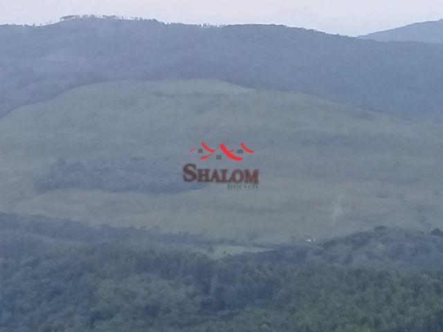 8051 | fazenda à venda em fazenda pinhão, pinhão - Foto 8