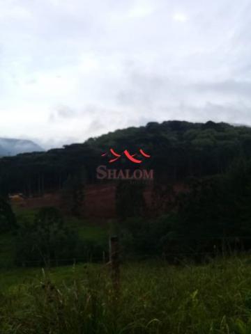 8051 | fazenda à venda em fazenda pinhão, pinhão - Foto 5