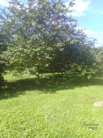 Chácara com mais de 5 alqueires no anhaia - Foto 2