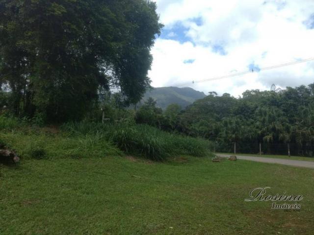 Chácara com ponto comercial localizada no rio sagrado em morretes - Foto 3