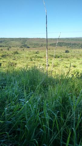 Imperdível vendo excelente Fazenda em Bom Jardim-Ma - Foto 10