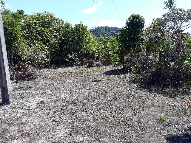Lote rodovia - ilheus-itacare a 900 metros da praia - Foto 7