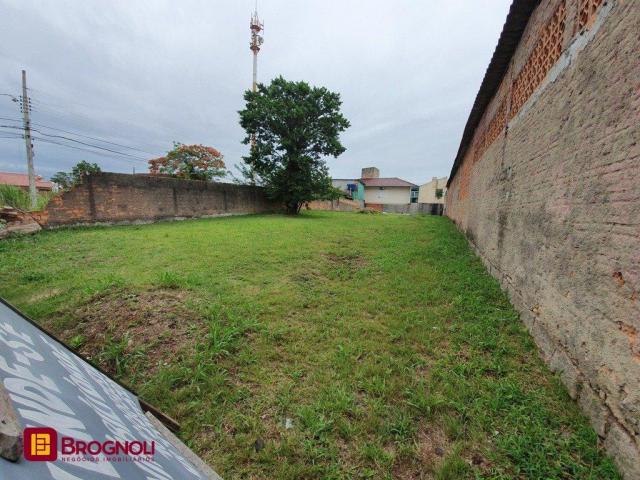 Terreno à venda em Coloninha, Florianópolis cod:T6-37518 - Foto 2