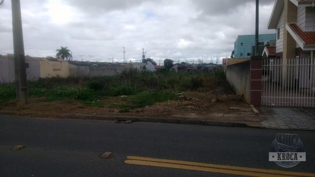 Terreno à venda com 0 dormitórios em Iguaçu, Fazenda rio grande cod:1893 - Foto 5