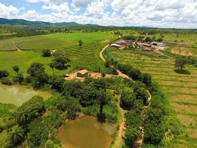 Fazendinha de 20000 financiada em ate 150meses - Foto 8