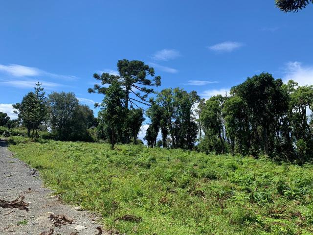 Venda de Chácaras em Urubici - Foto 16