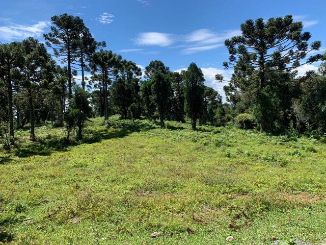 Venda de Chácaras em Urubici - Foto 15