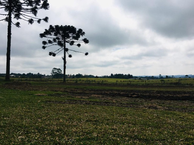 Área Rural em São José dos Pinhais - Foto 6