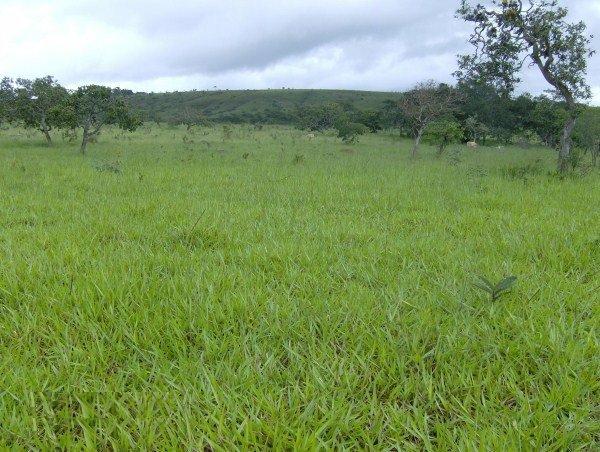 Propriedade escriturada próximo Brasília em Goiás 61 9 - Foto 2