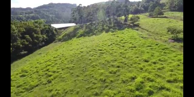 Área de terra de 14ha - Foto 17