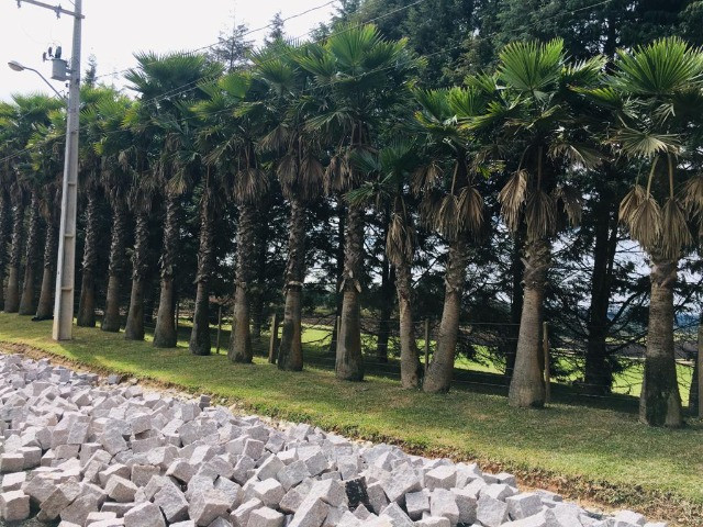 Área Rural em São José dos Pinhais - Foto 2