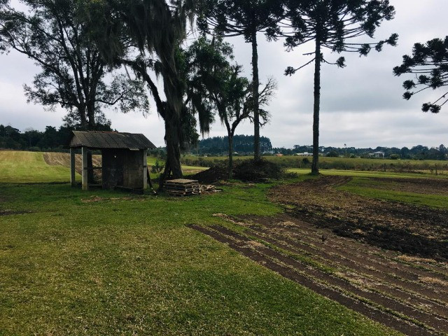 Área Rural em São José dos Pinhais - Foto 14