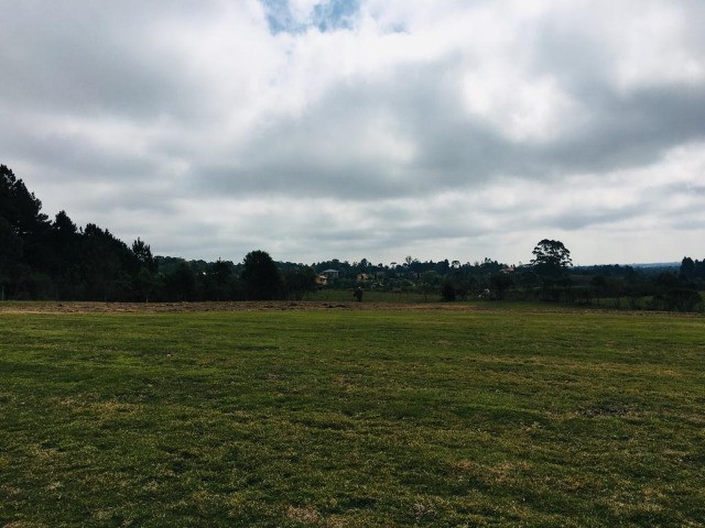 Área Rural em São José dos Pinhais - Foto 4