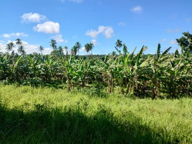 Sítio em Punaú - Rio do Fogo/RN
